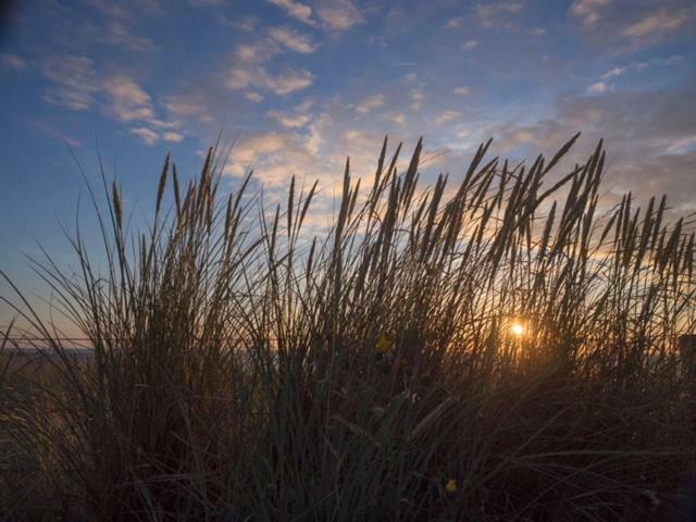 Pakhuis 5 Katwijk aan Zee Zewnętrze zdjęcie